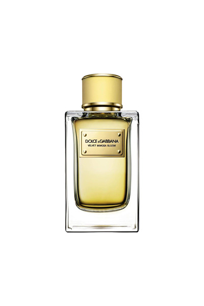 Dolce&Gabbana Velvet Mimosa Bloom Perfume By Dolce & Gabbana EDP 150 ml