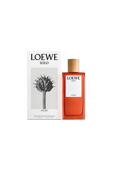 Loewe Pour Homme Perfume by Loewe EDP 100 ml