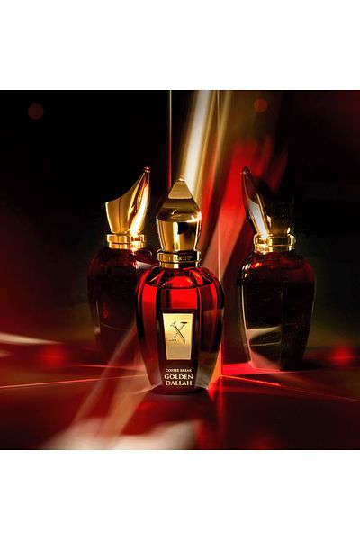 Xerjoff عطر كوفي بريك دلة ذهبية من زيرجوف للجنسين، 50 مل، أو دو برفيوم