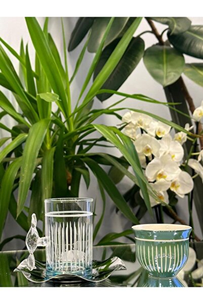 PAŞABAHÇE CAM فنجان شاي ميرا كاسات القهوة