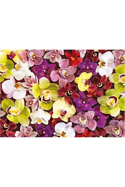 Educa Puzzle Educa 1000 Parça Orkide Çiçek Kolajı - Orchid Collage - 19558