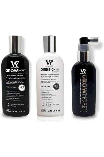 Watermans مجموعة شامبو وبلسم واكسير الشعر للرجال والنساء من واترمانز (خصم الج...