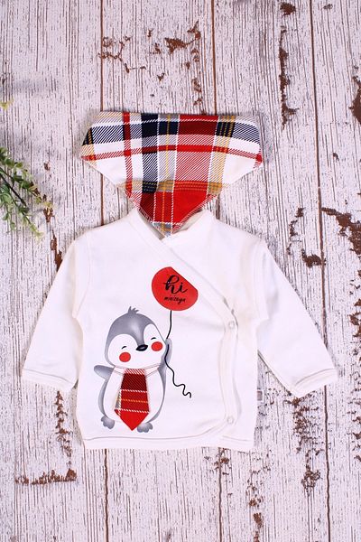 Demin Plaid Penguin Patterned 5-Piece Men's Hospital Exit with Scarf