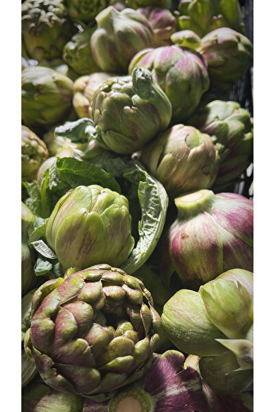 KARYA ENGİNAR&GIDA Taze kalp enginar (5 adet)