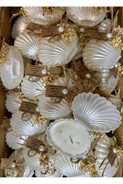 Larmina Decoration 15 شمعة محار مزينة