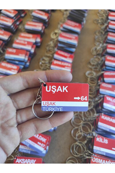 Home الخادم 64 سلسلة المفاتيح مسقط رأسه