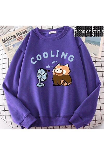 Flood Of Style Хип-хоп Хараджуку винтидж стил Ракун вентилатор Сладък лилав