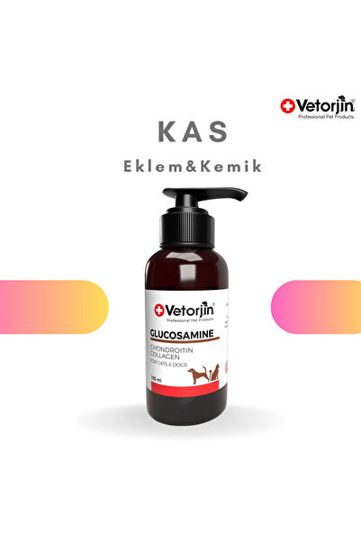 Vetorjin Kedi Köpek Kas Eklem Takviyesi Glikozamin Kondroitin Kolajen 100 ml