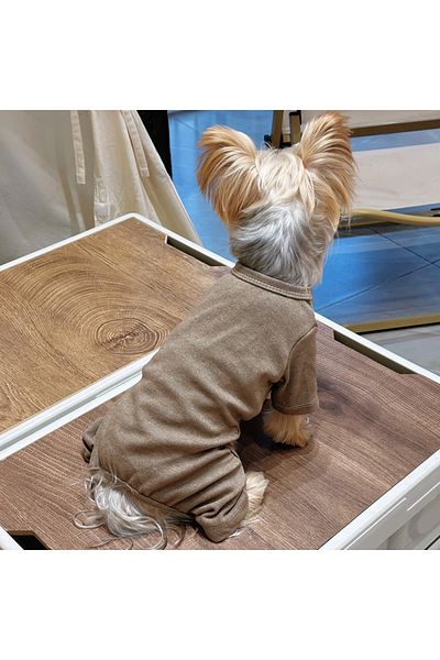 Choice M brown Fashion Winter Pet Dog Clothes Solid Color Cotton Dogs Sweaters Chihuahua Puppy Medium Dogs