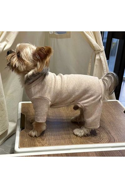 Choice XL khaki Fashion Winter Pet Dog Clothes Solid Color Cotton Dogs Sweaters Chihuahua Puppy Medium Dogs