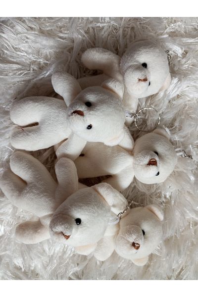 Nehir 5 Little Teddy Bears