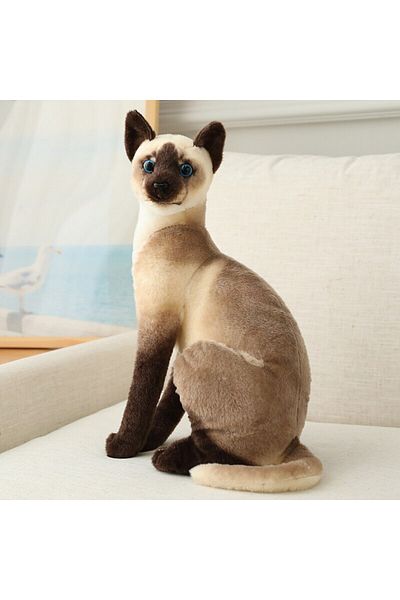 Choice siam sit 20cm Stuffed Siame Cats Plush Toy 20/25cm Simulation American Shorthair Cute Cat Pet Toys L