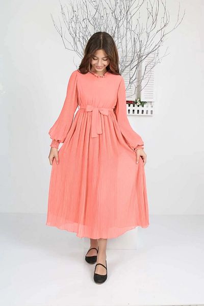 Wild Flower Girl's Long Length Pleated Chiffon Dress