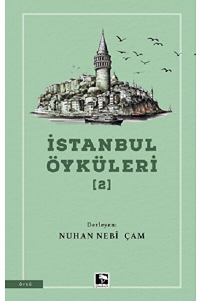 Çınaraltı Yayınları İstanbul Öyküleri - 2 kitabı güncel Nuhan Nebi Çam Edebiy...