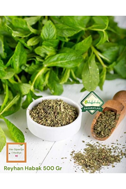 ABDULLAH DAĞ Hatay Yöresinden Doğal Yeşil Habak Reyhan Fesleğen 500 gr - 1/2 Kg