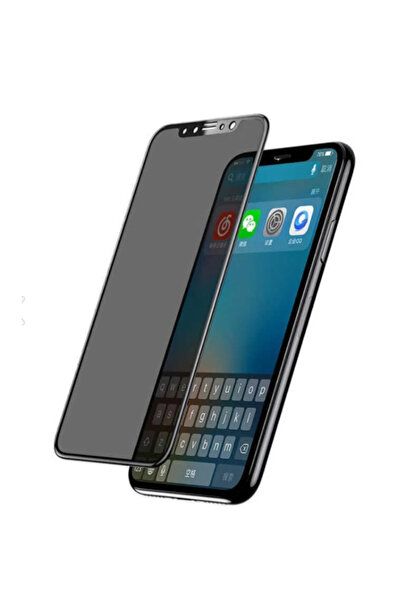 iPhone 12 Pro Max 6.7' Uyumlu Parlak Seramik Hayalet/Privacy Nano Ekran Koruyucu Kırılmaz Cam