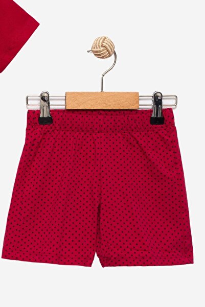 Divonette Unisex Lycra Children's Pajama Set Boys and Girls Baby & Kids Pajama Set |   2-10 Years Old Children's Pajamas