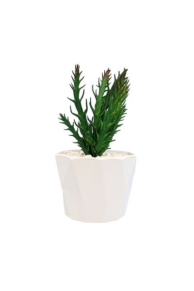Ella Home Italia Succulent Plant In Pot, Green, Plastic, 18Cm - Purple, Plastic, 18cm