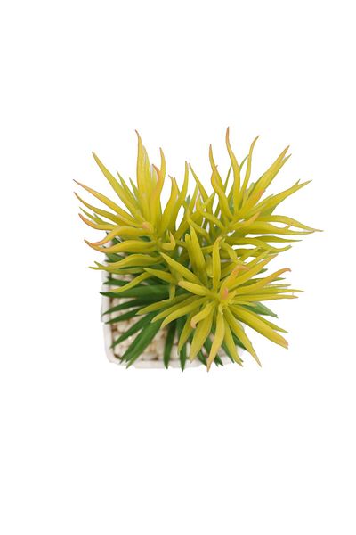 Ella Home Italia Artificial Floral Arrangement, Green, Plastic, 17cm - Green, Plastic, 17cm