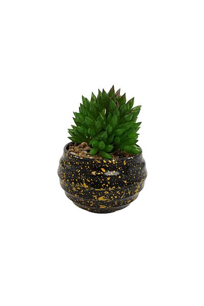 Ella Home Italia Round Succulent Plant Pot, Green, Plastic, 9cm - Green, Plastic, 9cm