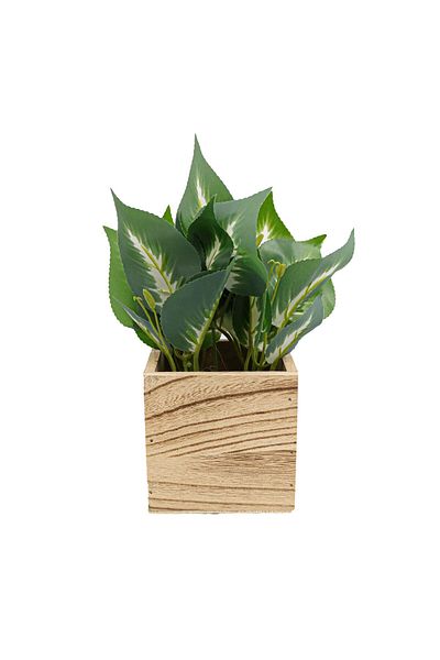 Ella Home Italia Wooden Flower Pot, Green, Plastic, 22Cm - Green, Plastic, 22cm