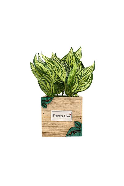 Ella Home Italia Wooden Flower Pot, Green, Plastic, 21Cm - Green, Plastic, 21cm