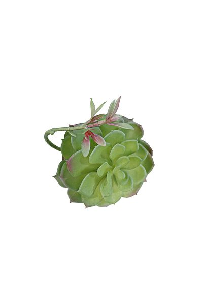 Ella Home Italia Artificial Floral Arrangement, Green, Plastic, 17Cm - Green, Plastic, 17cm