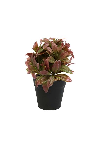Ella Home Italia Aranjament In Ghiveci, Mov, Plastic, 20cm - Mov, Plastic, 20cm