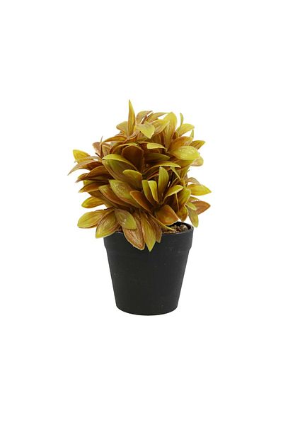 Ella Home Italia Aranjament In Ghiveci, Caramiziu, Plastic, 20cm - Caramiziu, Plastic, 20cm
