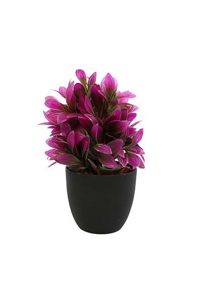 Ella Home Italia Aranjament Ghiveci, Mov, Plastic, 21cm - Mov, Plastic, 21cm