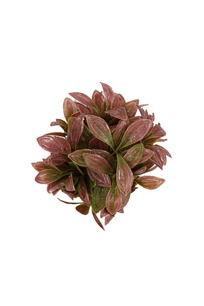 Ella Home Italia Aranjament In Ghiveci, Mov, Plastic, 20cm - Mov, Plastic, 20cm