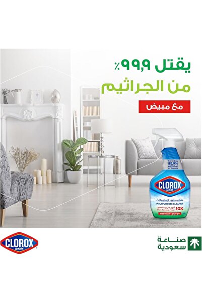 Clorox Multi-Purpose Cleaner Spray with Bleach, 750ml, Kills 99.9% of Germs, 10X Stronger in Stain R