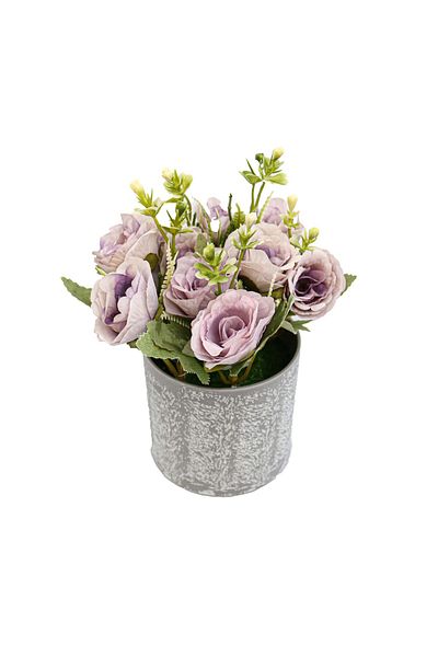 Ella Home Italia Ghiveci Cu Trandafiri, Mov, Plastic, 18cm - Mov, Plastic, 18cm