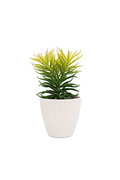 Ella Home Italia Planta Suculenta In Ghiveci, Alb, Plastic, 19cm - Alb, Plastic, 19cm