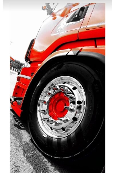 POLATLI OTO AKSESUAR Sivri Bijon Kapağı Sivri 32mm ( 20 Adet )