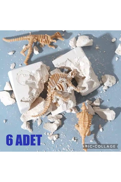 AZİZ OYUNCAK 6lı Fosil Dinozor Jurassic Kazı Proje Eğitici Etkinlik Hediye Seti Stem Uyumlu