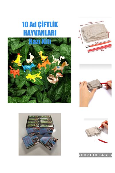 AZİZ OYUNCAK 10 Adet Kümes Çiftlik Hayvanlari Kazı Kiti . Arkeolojik Bilim Faaliyet Proje Aktivite Seti