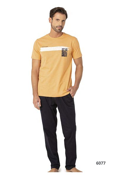 Pierre Cardin Men's Two-Piece Suit Mandarin Short Sleeve Printed Home Wear