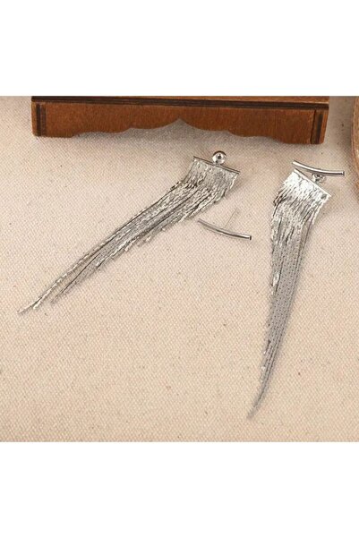 Dgt Luxury Tassel Earrings-Glamorous Dangle