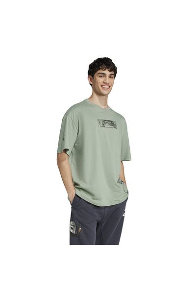 adidas Πράσινο T-Shirt M Sw Tm T 2 Jı5718