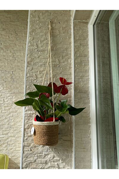 Sever Beyaz Şeritli Askılı Hasır Saksı Sepeti (17x17x16cm)