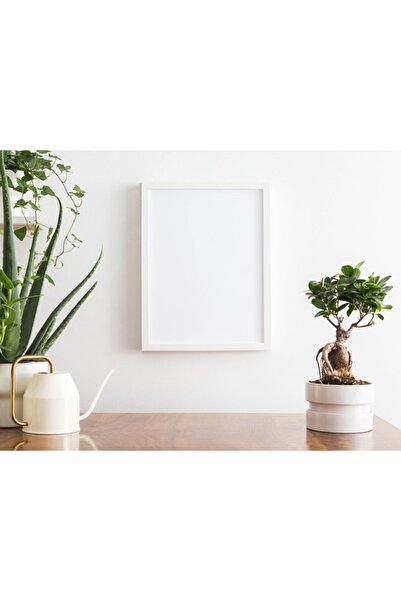 MrtAhşap A4 frame (21x30) white,Document frame,Plexili,Horizontal transition vertical available