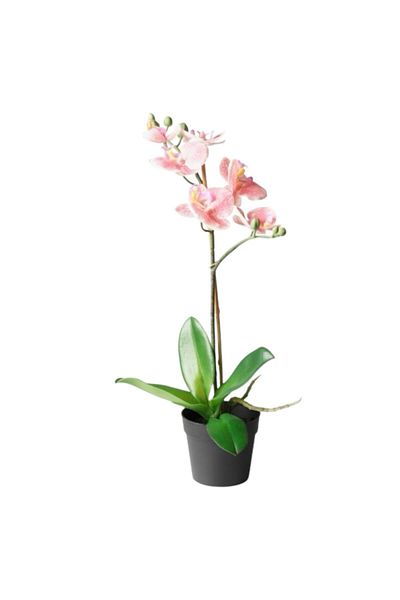 IKEA Artificial plant in pot, pink orchid, 9 cm