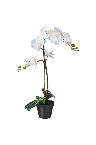 IKEA Artificial Plant in Pot, White Orchid, 12 cm