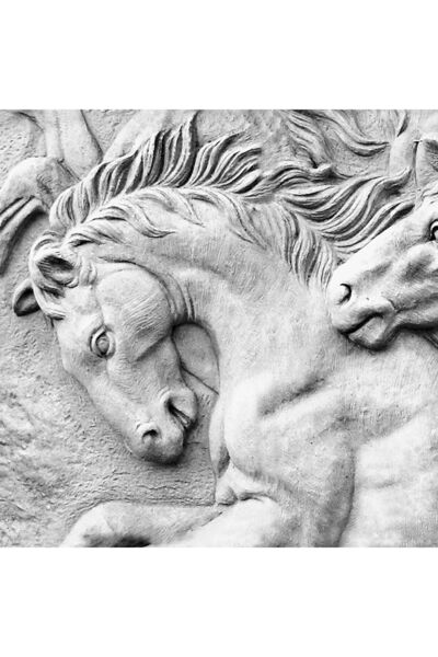 dreamwall Duvar Kağıdı Atlar Desenli Isı Ve Ses Yalıtımlı Sağlıklı Tekstil Duvar Kağıdı