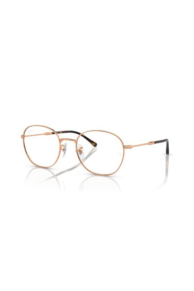 Ray-Ban Ray Ban Vista Unisex Phantos Eyeglasses- Rb 6509 - Lense Size:51mm - Rose Gold