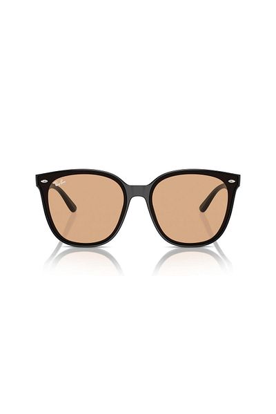 Ray-Ban Ray Ban Unisex Irregular Sunglasses- Rb 4423d - Lense Size:66mm - Black