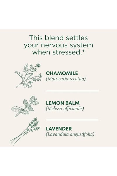 TRADITIONAL MEDICINALS شاي البابونج العضوي والخزامى، يدعم الاسترخاء، 16 كيس شاي