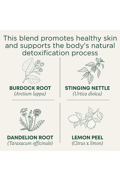 TRADITIONAL MEDICINALS شاي الديتوكس العضوي اليومي، بنكهة الليمون، 16 كيس شاي