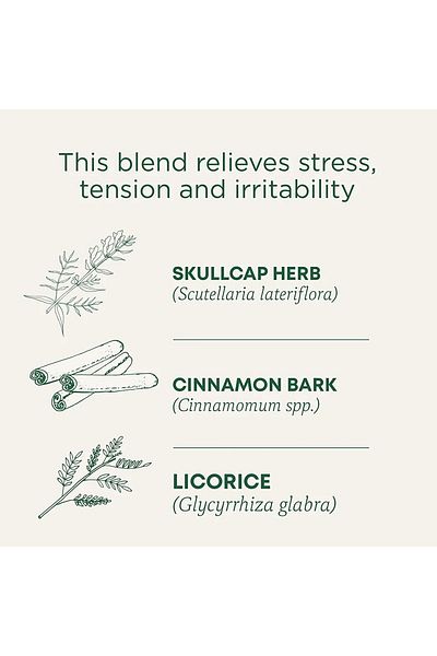 TRADITIONAL MEDICINALS شاي عضوي لتخفيف التوتر، 16 كيس شاي